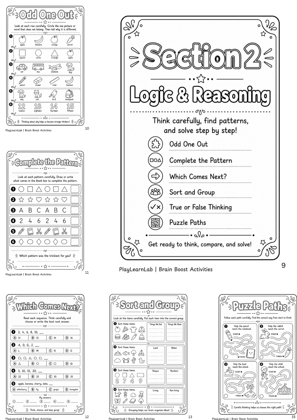 Brain Boost Activity Pack