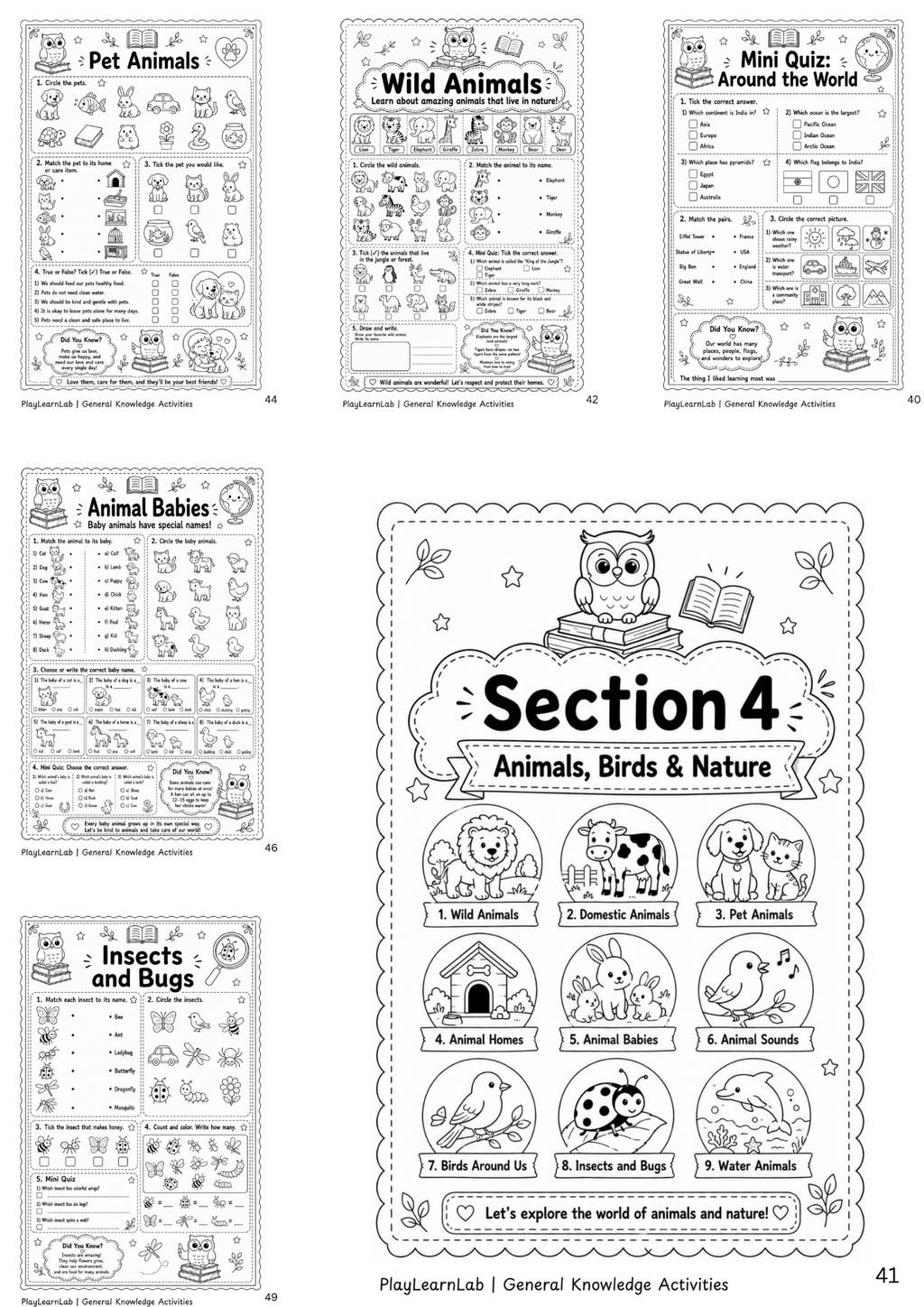Fun General Knowledge Activities