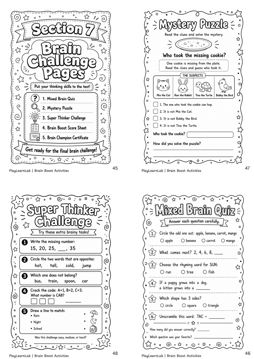 Brain Boost Activity Pack